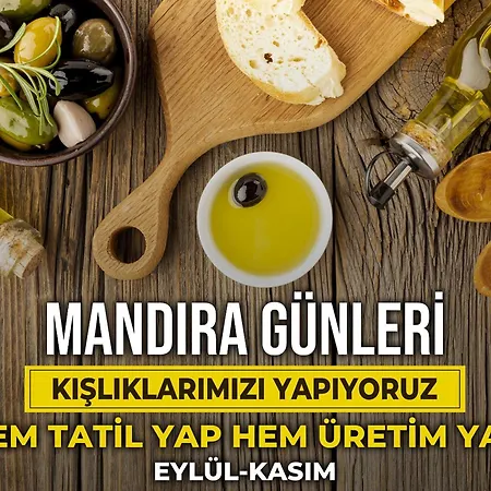 Hotel Alis Farm Boutique & Assos