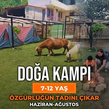 Alis Farm Boutique Hotel&spa 2* Assos