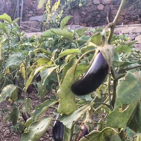 Hotel Alis Farm Boutique & Assos