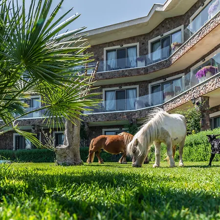 Alis Farm Boutique & Отель 2*