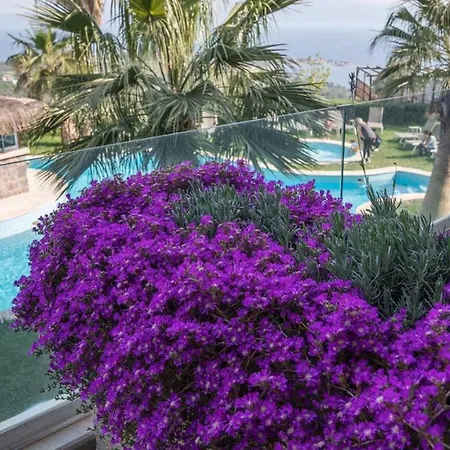 Hotel Alis Farm Boutique &