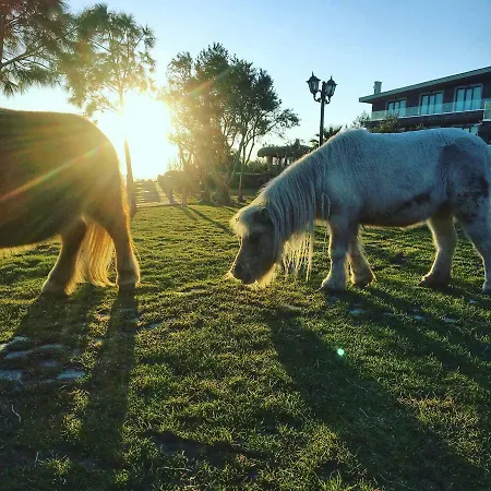 Alis Farm Boutique & Hotel 2*