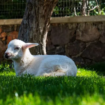 Alis Farm Boutique & Assos