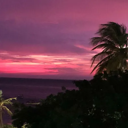 Alis Farm Boutique &