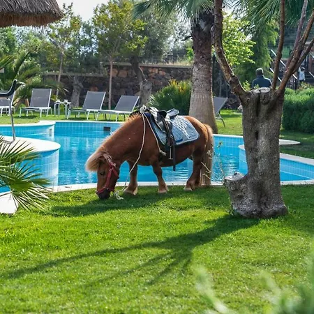Отель Alis Farm Boutique & Ассос