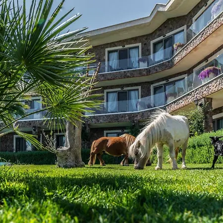 Отель Alis Farm Boutique & 2*