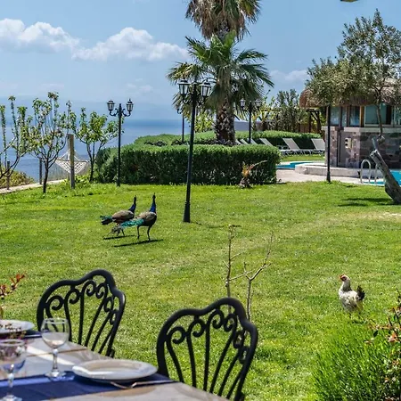 Alis Farm Boutique &