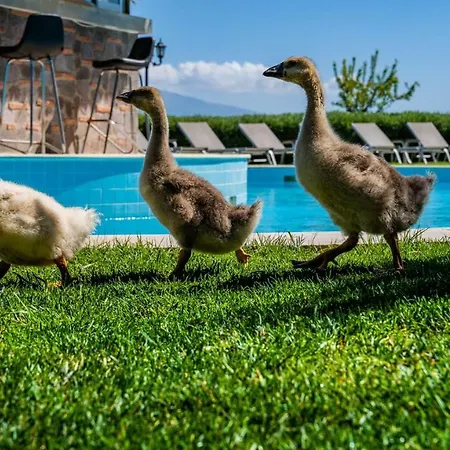 Alis Farm Boutique & Hotell