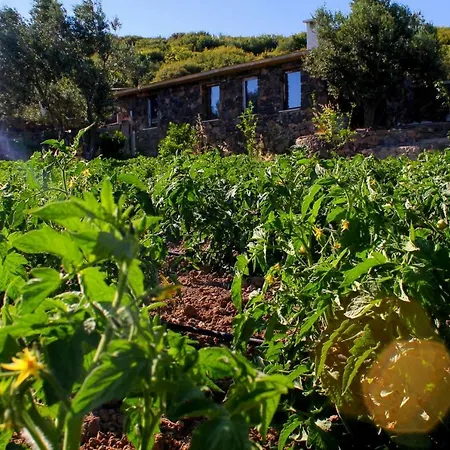 Alis Farm Boutique & Hotell 2*